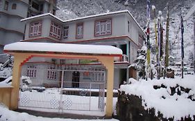 Hotel Golden Fish